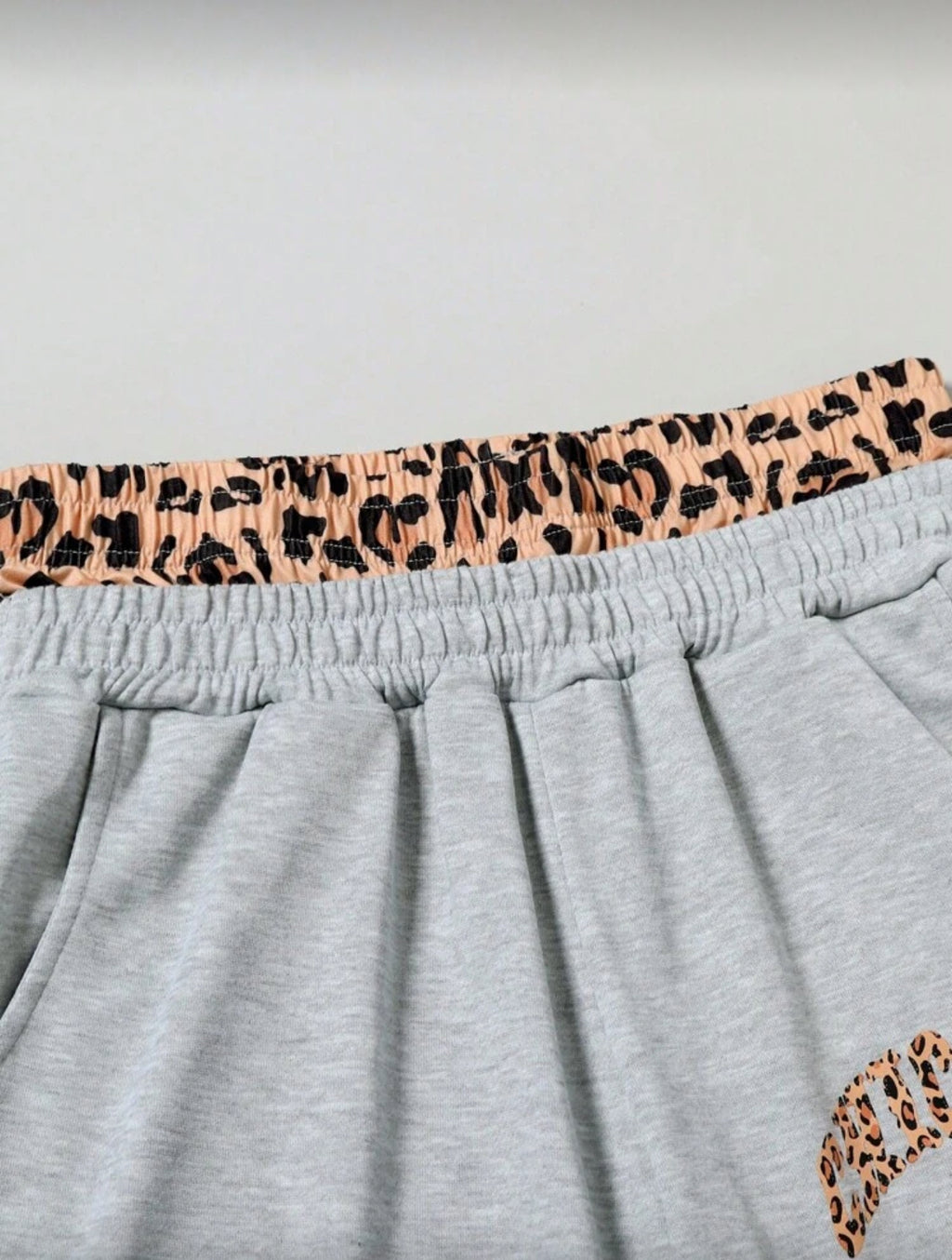 Men's Letter & Leopard Print Long Sleeve Hoodie And Sweatpants