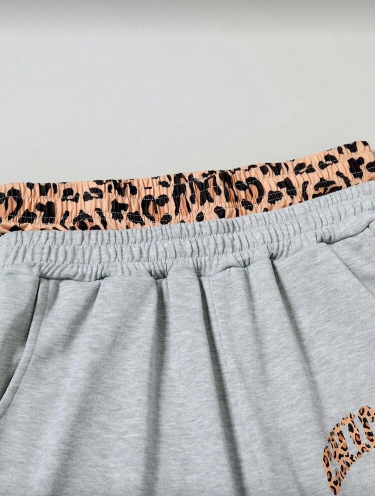 Men's Letter & Leopard Print Long Sleeve Hoodie And Sweatpants