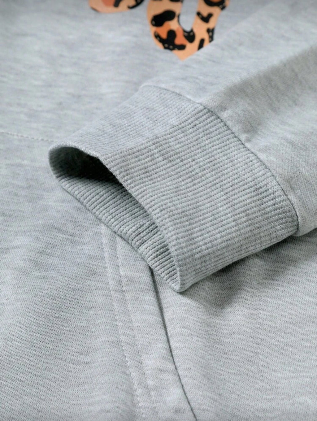 Men's Letter & Leopard Print Long Sleeve Hoodie And Sweatpants