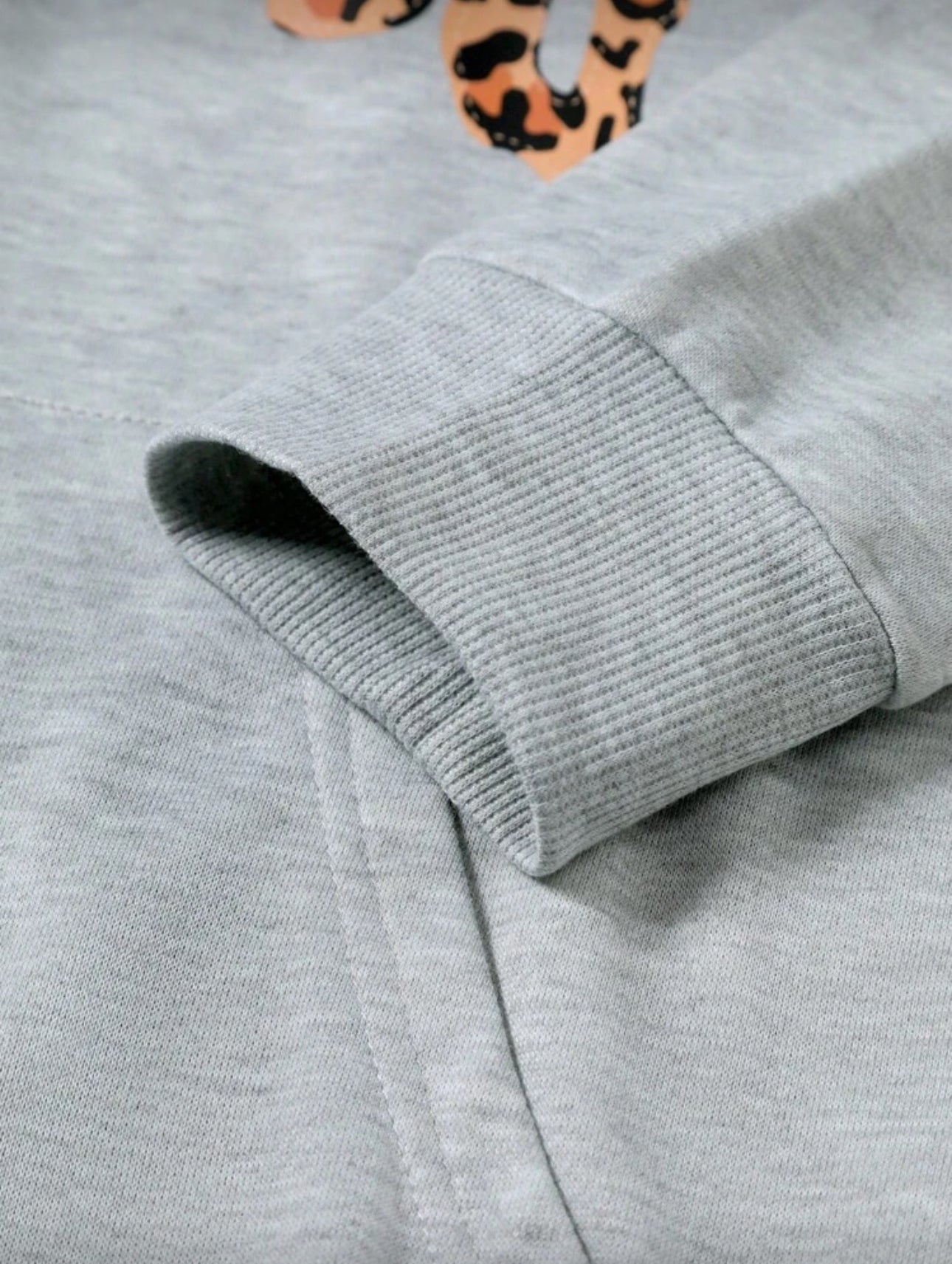 Men's Letter & Leopard Print Long Sleeve Hoodie And Sweatpants